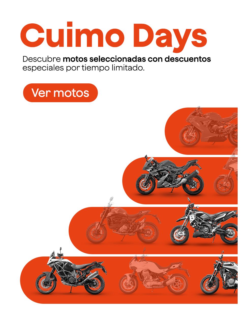 Oferta Especial